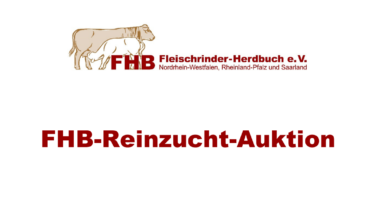FHB Reinzuchtauktion Logo