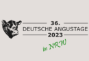 Angustage 2023 Logo Beitrag