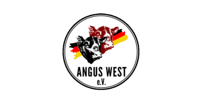 Beitragsbild Angus West Logo